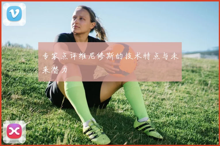 专家点评维尼修斯的技术特点与未来潜力