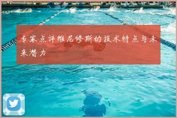 专家点评维尼修斯的技术特点与未来潜力