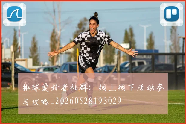 排球爱好者社群：线上线下活动参与攻略_20260528193029